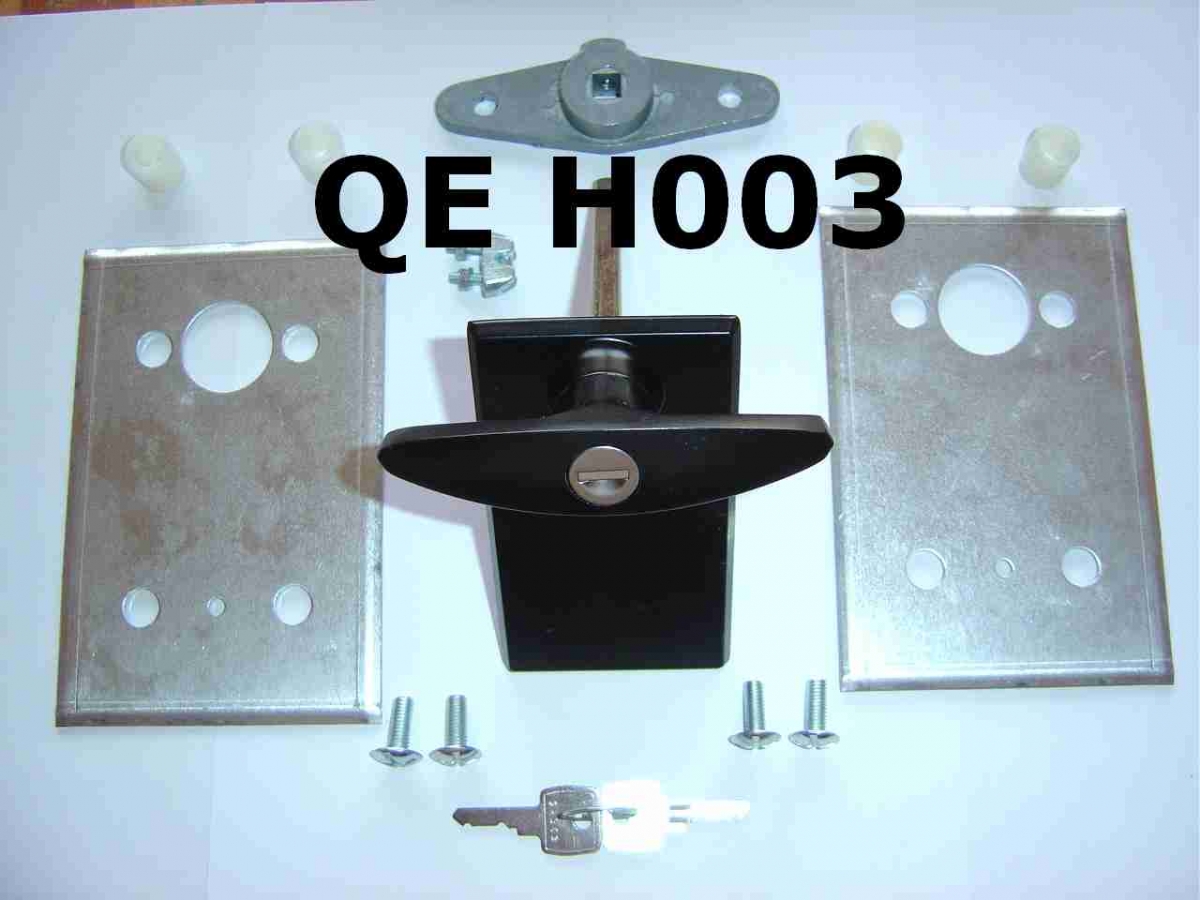 H003